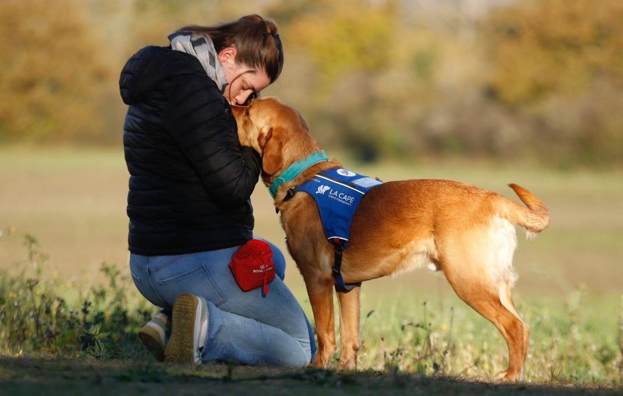 Une personne serre son chien d’assistance dans ses bras